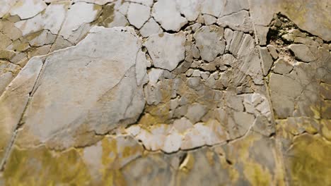Wall-fragment-with-scratches-and-cracks
